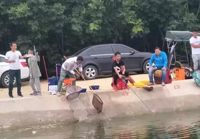 行营钓鱼比赛现场直播,行营钓鱼节