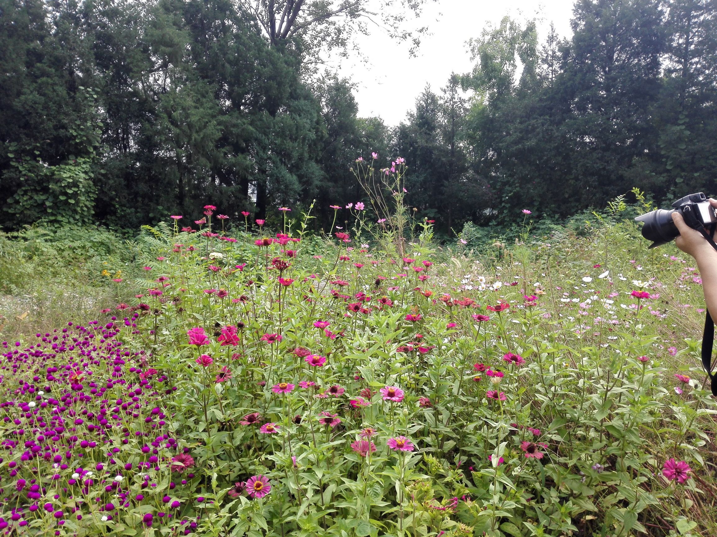 燕京八景之一银山塔林,燕京古八景视频