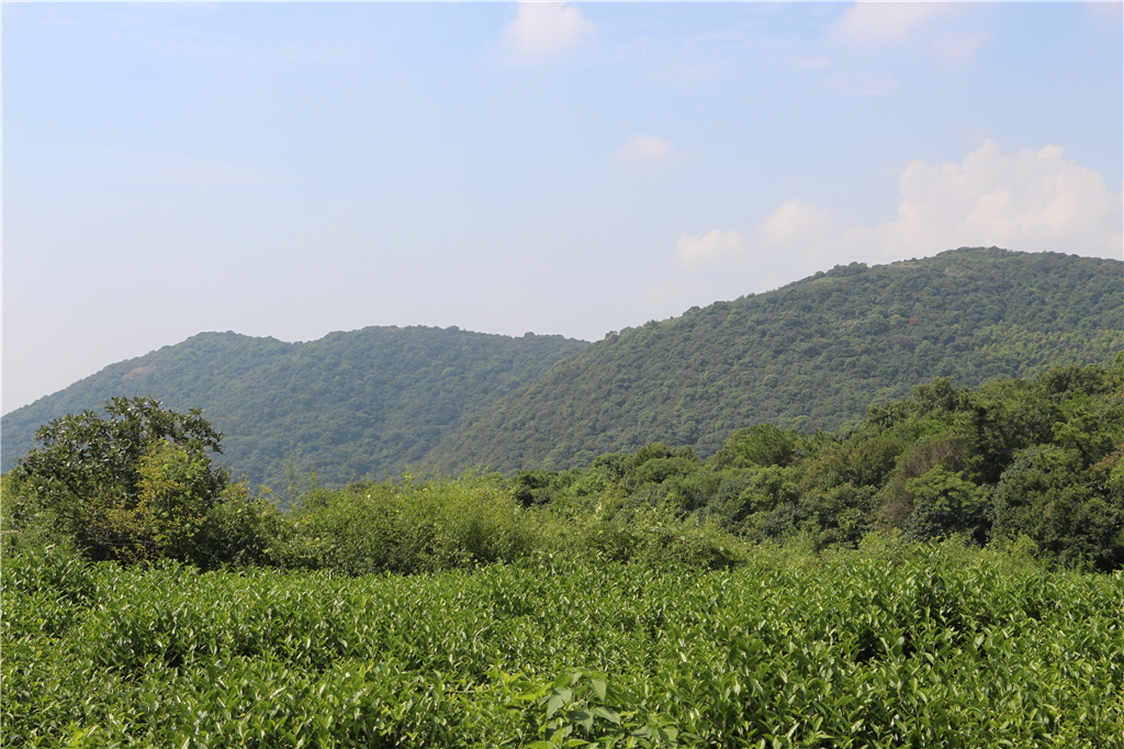 品农家菜肴田园生活,嘉兴南北湖农家乐推荐