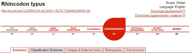 关于鲸鱼你知道什么,鲸鲨温柔