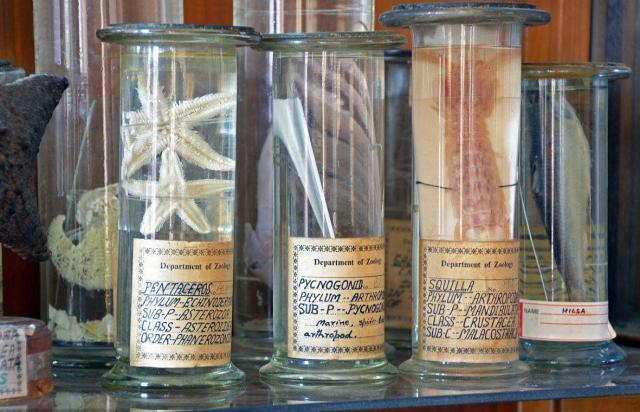 五招识别泡过“尸药”的毒海鲜，这些我们在厦门竟然常常吃！