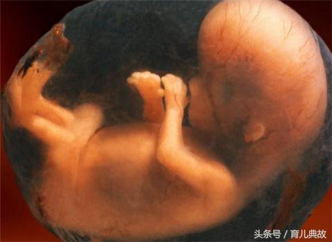 怀孕六个月莫名的难过不想要了,孕六月为何无缘无故想哭