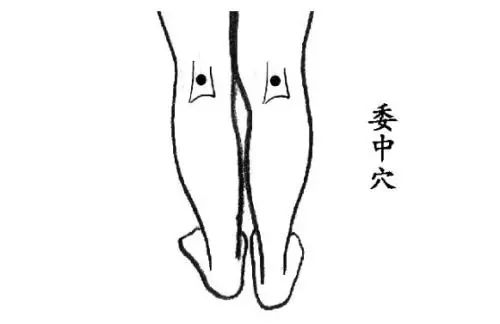 人体上千个穴位你只需要知道这10个，防病养生又长寿