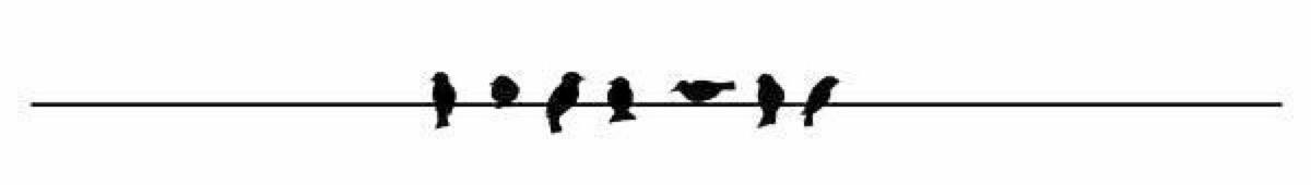 内涵笑话你看懂了吗,内涵笑话转折段子大全