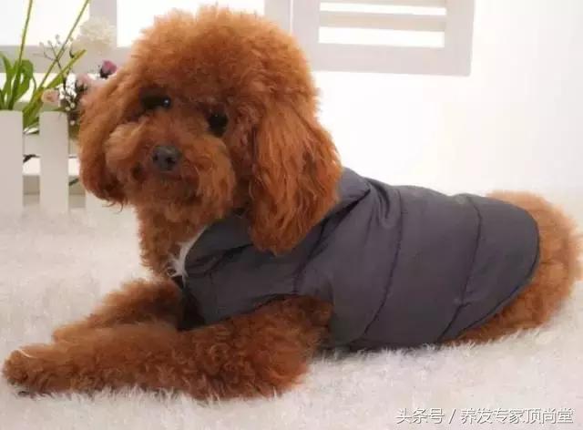 让你意想不到的瞬间音乐,让你意想不到的结局视频