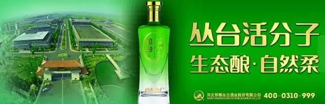 邯郸市第二届足球赛事中心,邯郸少年足球锦标赛