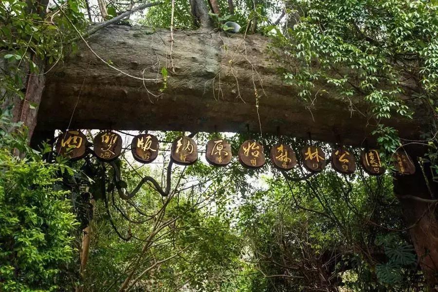 元旦成都出发两天一夜旅游攻略,成都出发三四天旅游推荐国庆