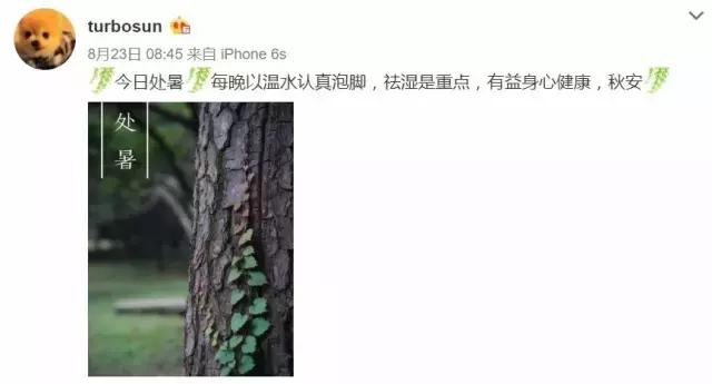 孙俪新剧未拍先火,孙俪看了甄嬛传