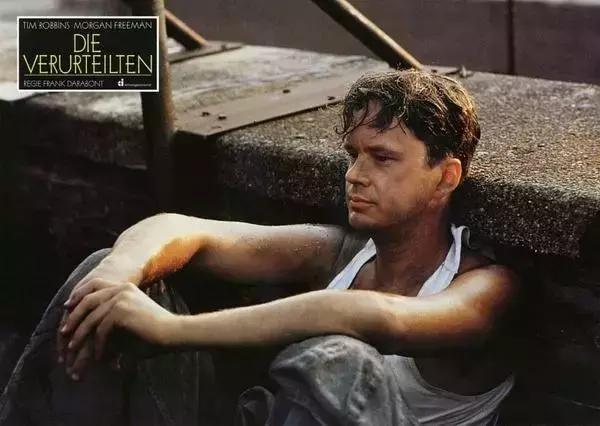 肖申克的救赎深度解析百晓生,深度解析肖申克的救赎