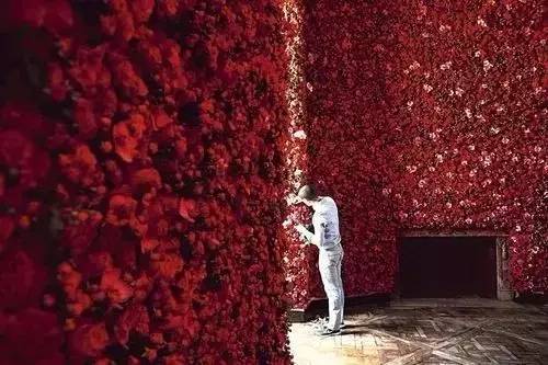 破败的房子重新焕发生机,原本破旧的房子变得焕然一新