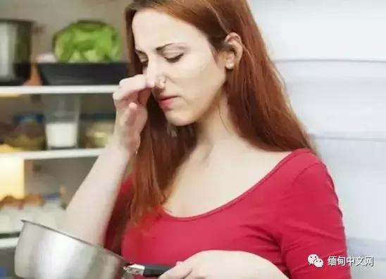 洋葱价格上涨吗,洋葱价格上涨