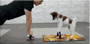 在泉州有什么工作工资比较高的,泉州市什么工作工资最高