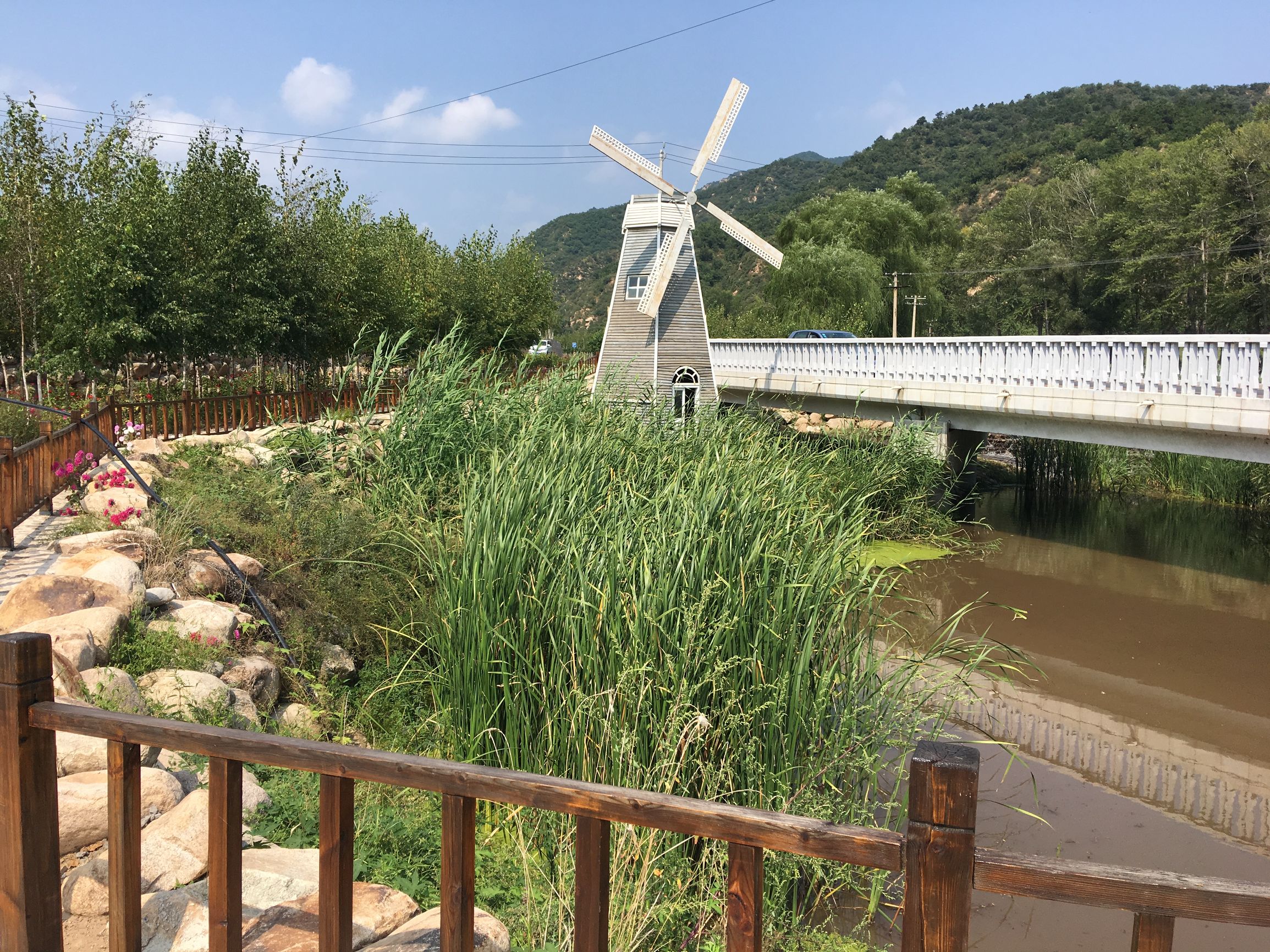 厉害了这个四线小城,厉害了滕州有这么一个小村庄