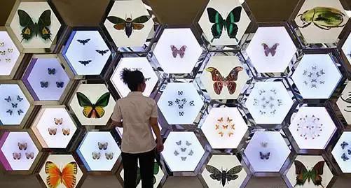 上海地铁直达花海,上海地铁9号线景点