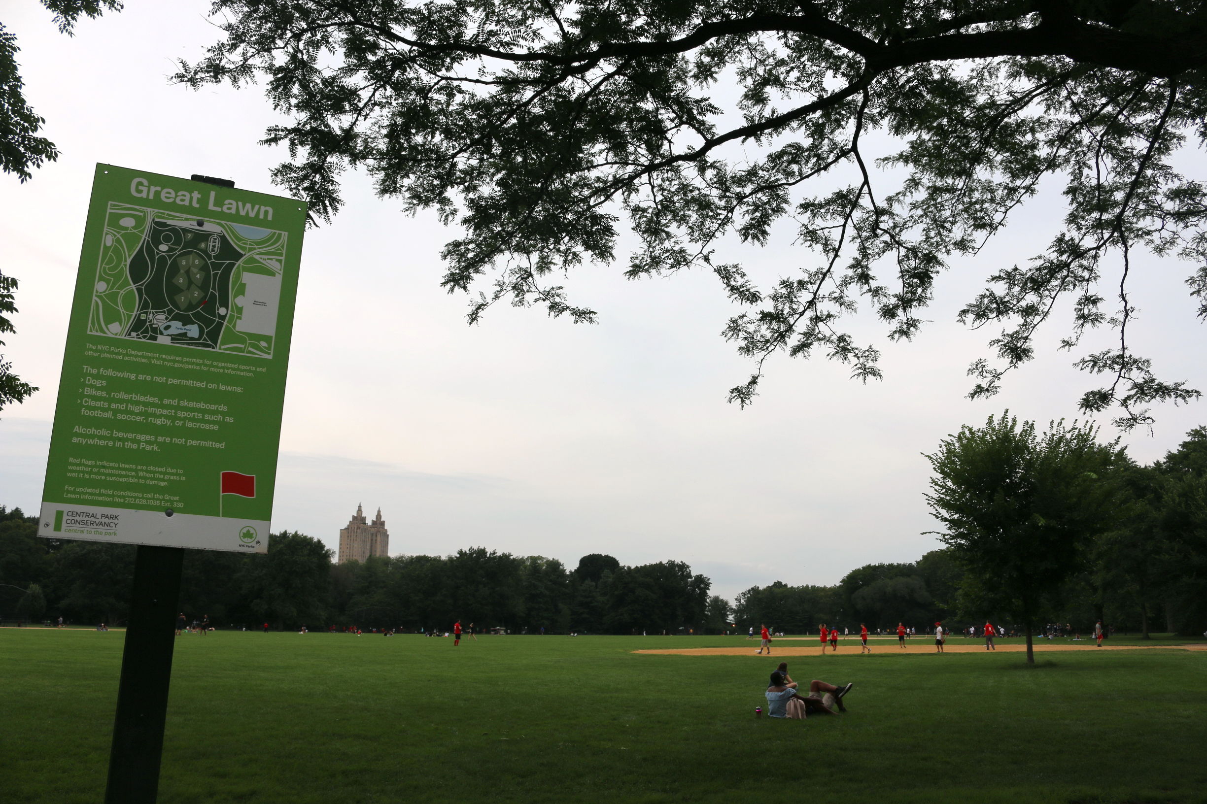 纽约游记,美国纽约日记全集