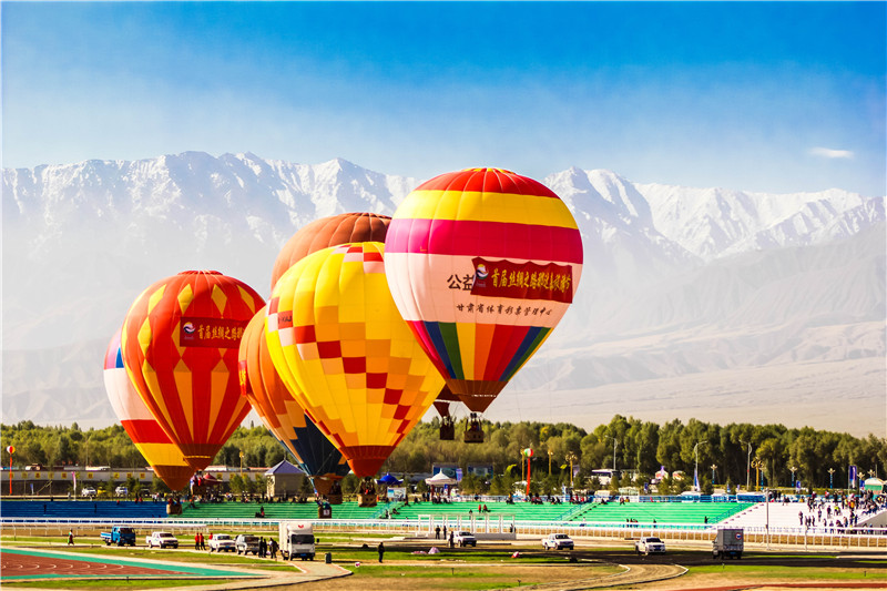 肃北七彩花海,肃北百亩花海在哪里