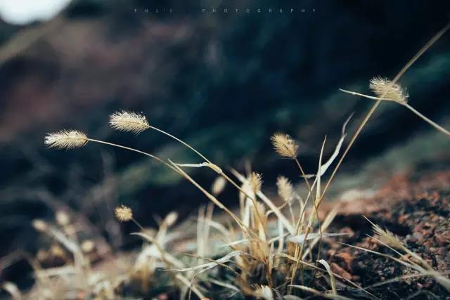 回顾：旧梦之域，新辟之疆‖这是一个让我魂萦梦绕的地方