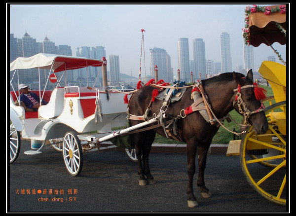 娴锋花鍩庡競澶ц繛娴极涔嬮兘,澶ц繛娴极婊ㄦ捣缇庢櫙