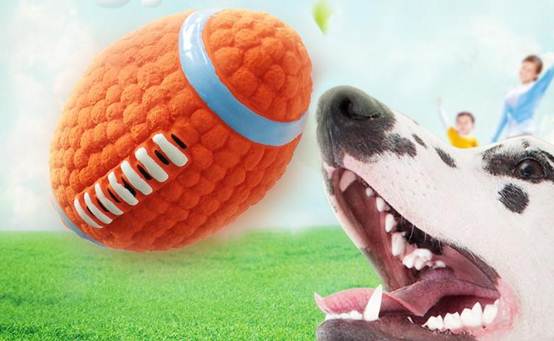 怎么训练狗狗找东西的游戏,怎么教会狗狗玩狗狗游戏