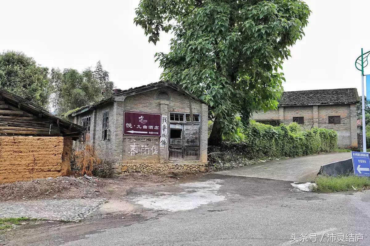 如果你只有一天的时间去乐山,如果你只有两天时间游南京