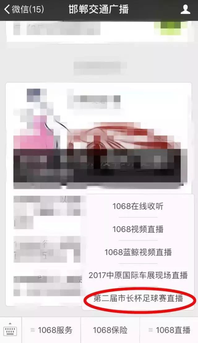 邯郸市第二届足球赛事中心,邯郸少年足球锦标赛