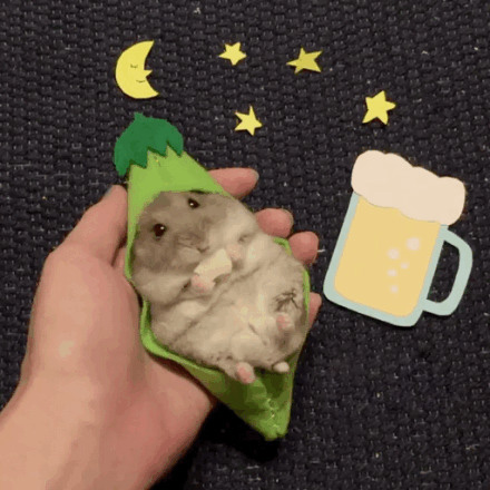 一只萌萌的吃货仓鼠,在角色扮演,还不忘记爪子里的好吃的