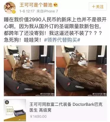 这些宠物都在背LV，你还敢抱怨自己像狗一样累？