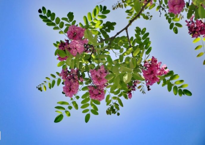 心情不好怎么快速开心,心情不好怎么快速发泄