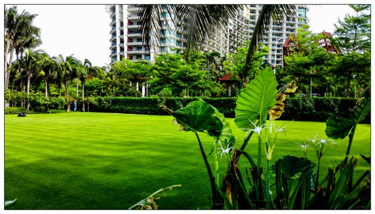 三亚行迹星辰旅行,三亚的空气质量在世界排行