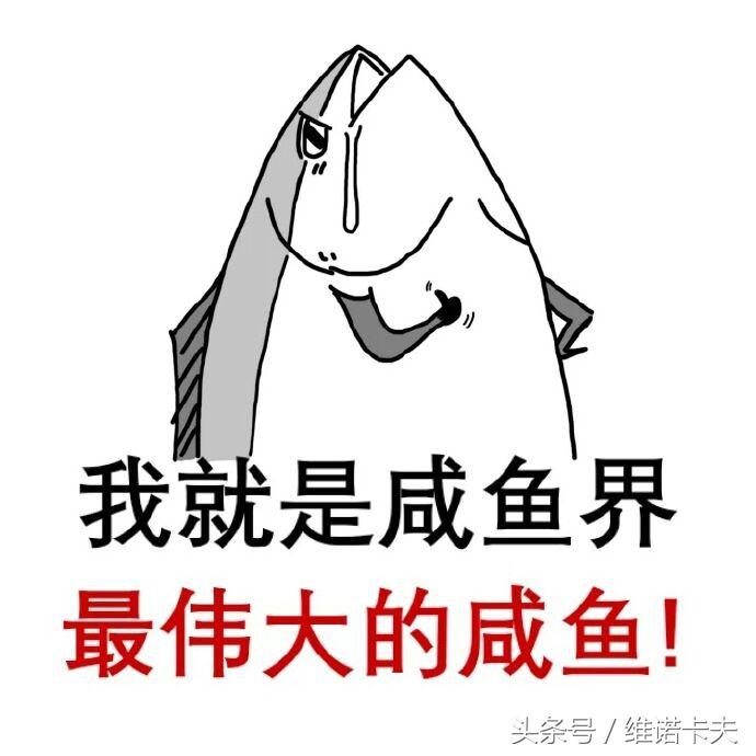 我的生活方式英文歌,我的生活方式英语对话