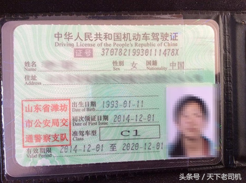 什么驾照能开什么车型图片,哪些驾照能开c1车型