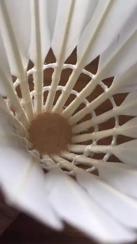 从*片毛**、球头、胶水和工艺,来判断羽毛球的质量,是最可靠的方法