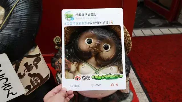 日本夏天治愈系风景北海道,夏天日本北海道之旅