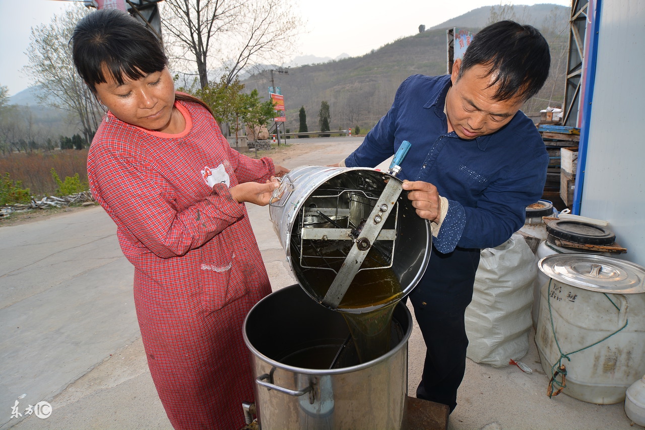 蜜蜂养殖技术试题及答案,养殖蜜蜂的语言