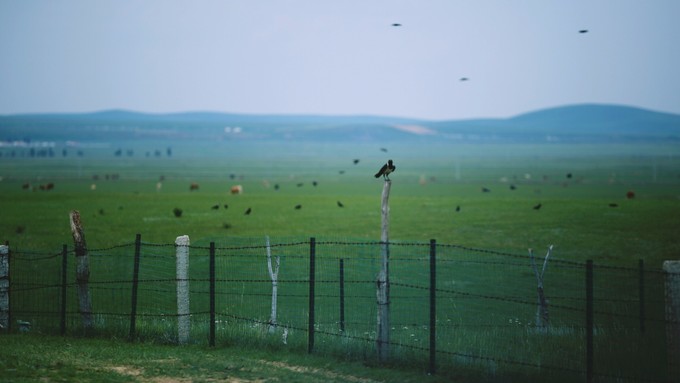自驾游记初秋内蒙草原风光无限,内蒙大草原之旅自驾游哪里最美