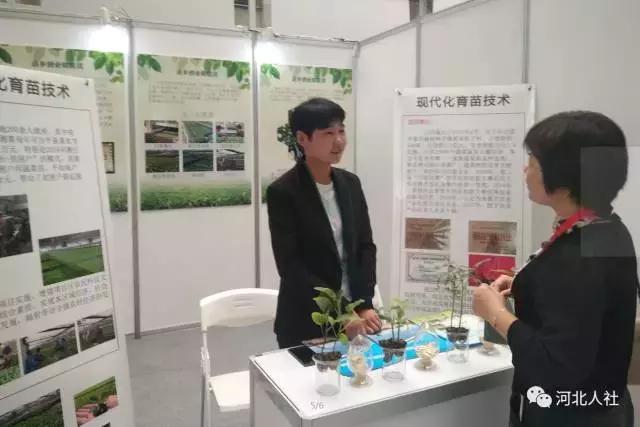 双创周传递出哪些创新创业新风向,双创周创业主题活动