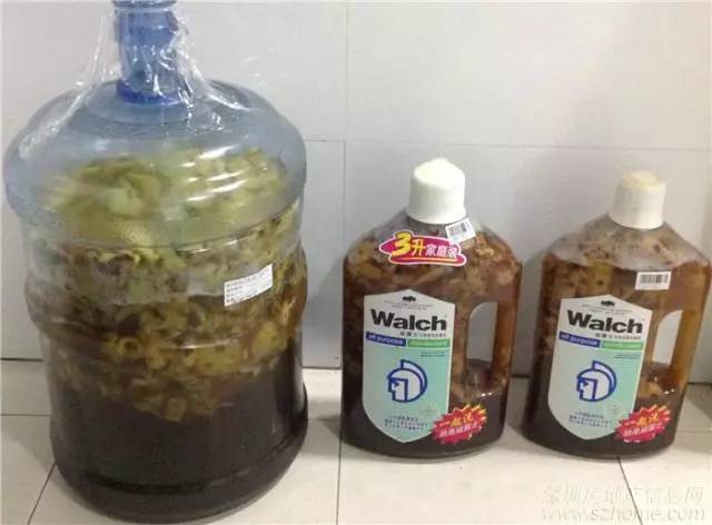 果皮肥料种花时放多少 (什么肥能促进盆栽开花结果)