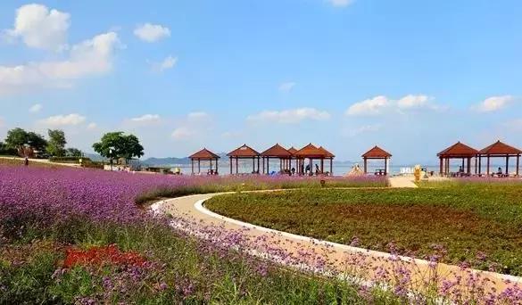 金石滩湿地公园,金石滩黄金海岸美丽景观