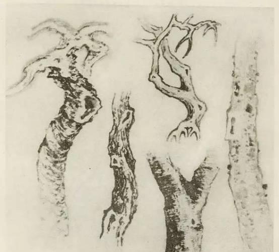 山水画画树的教学视频,山水画基础画树技法合集