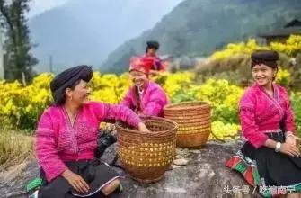 广西深秋好看的地方,广西的秋天哪里风景最美