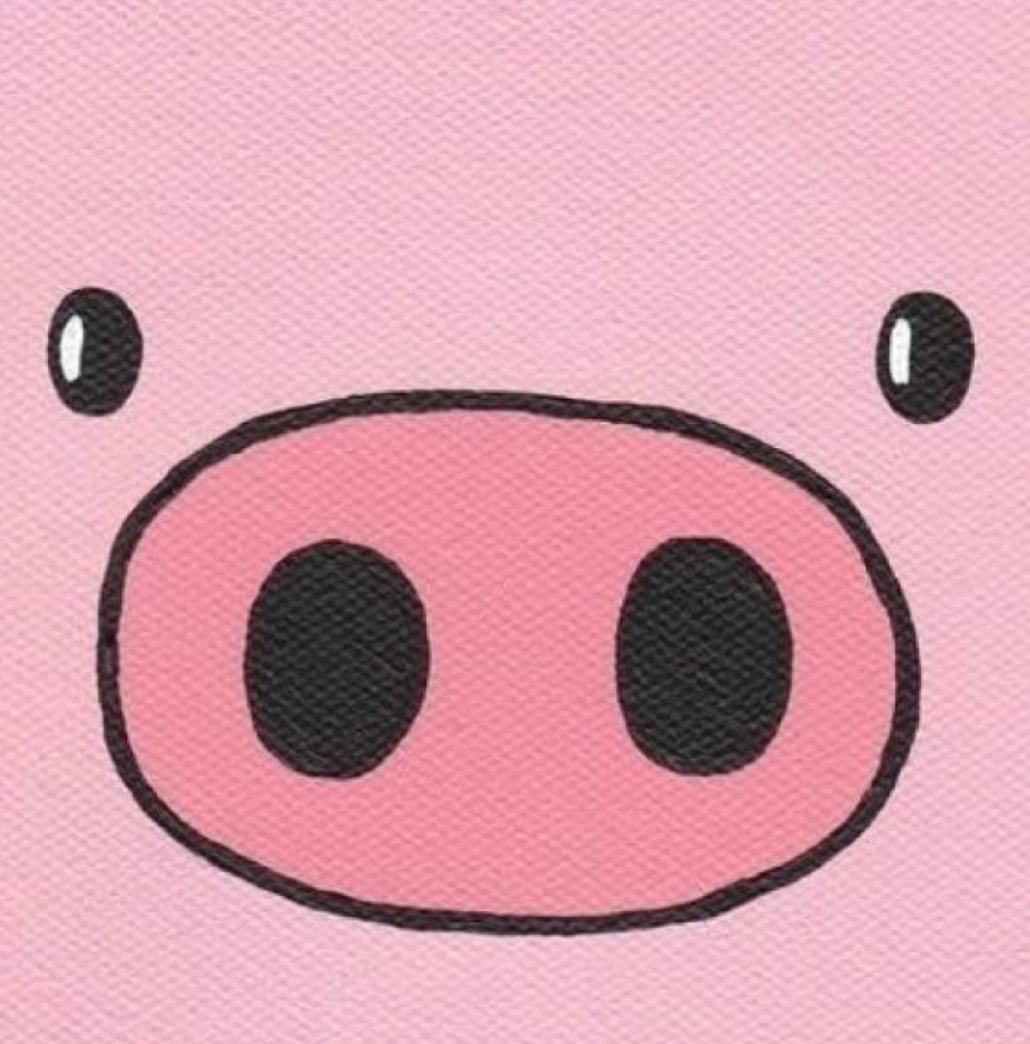 水龟都有哪些,水龟都有什么样的