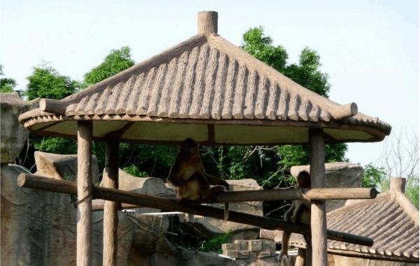 到上海旅游一定要去的10个景点,上海旅游攻略必去景点顺序