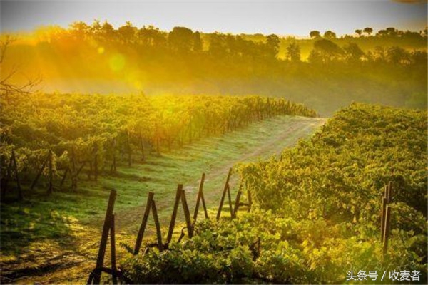 老婆丢下刚满月孩子离家出走,老婆吵架扔下孩子回娘家了