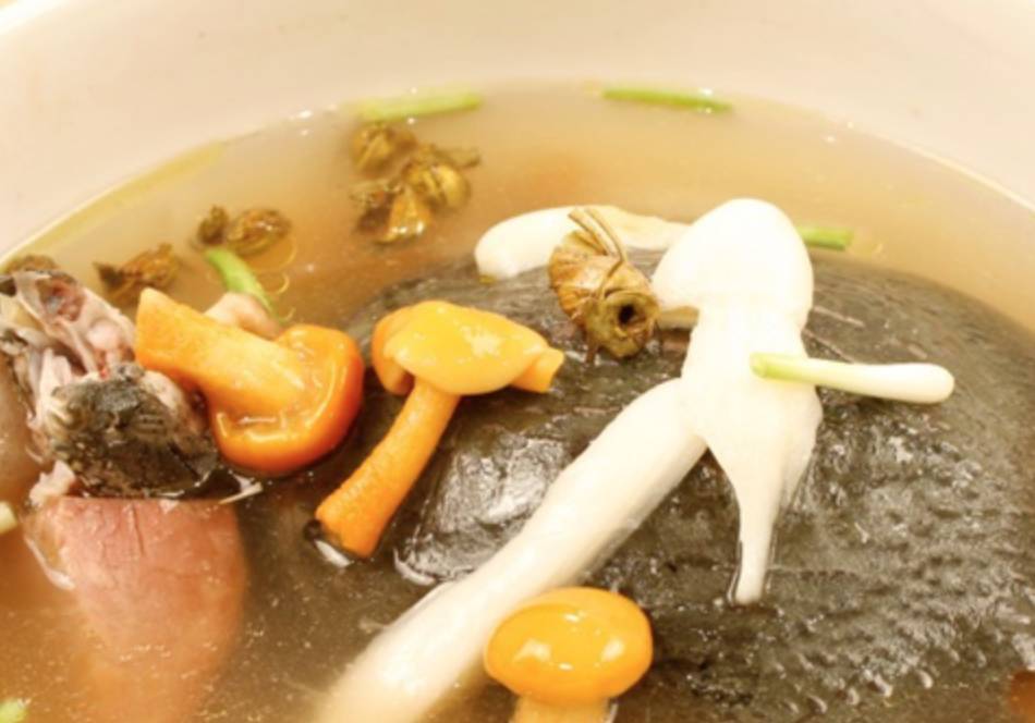 粤式甲鱼煲汤,滁州甲鱼汤