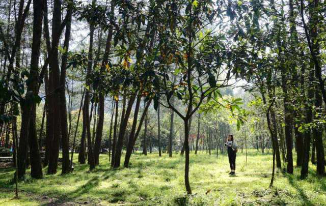 大梦初醒古诗视频,大梦初醒的古诗