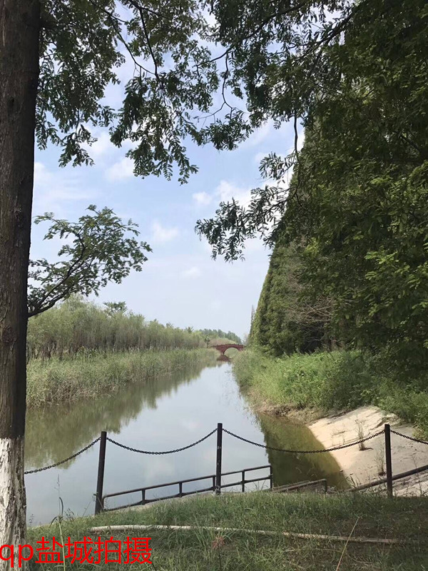 5588元的苹果iPhone7P开箱图片、评测、游戏性能