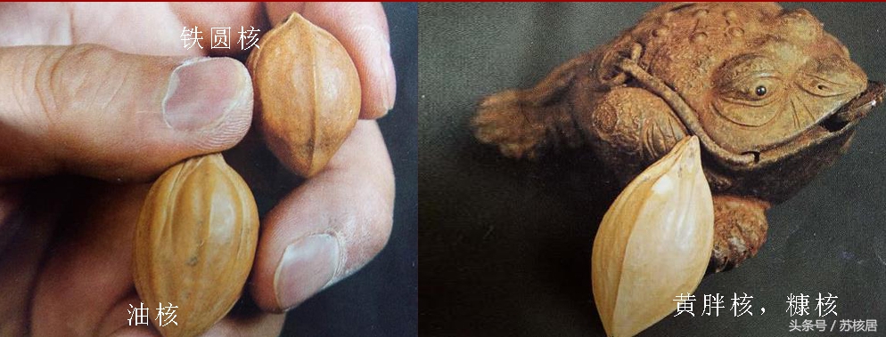 橄榄核雕刻十大名家的作品,橄榄核雕刻名家作品价格