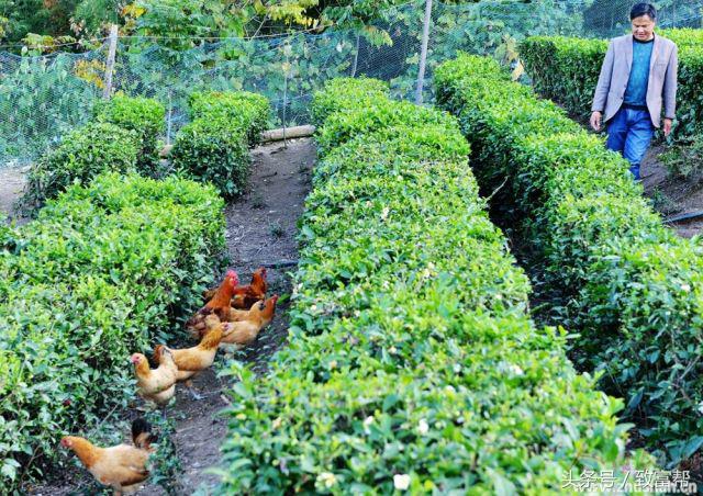 大学生在学校有什么好的创业,大学创业原来这么简单