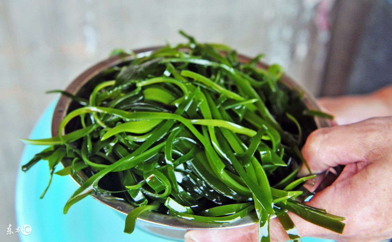 喝酒吃什么菜有毒,喝酒配什么菜吃会中毒