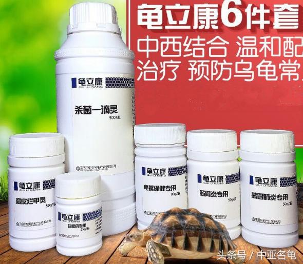 龟严重腐皮烂肉怎么治,龟腐皮对龟会致命吗